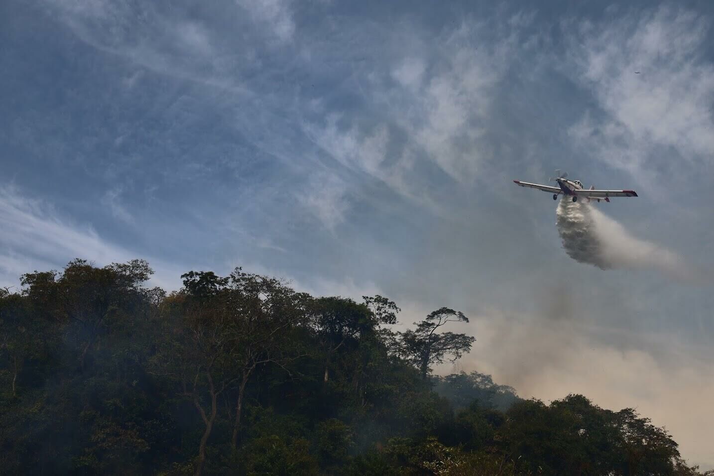 Imagem de compartilhamento para o artigo Bombeiros fazem queimas controladas em áreas do Pantanal e reforçam preparo para incêndios florestais em MS da MS Todo dia